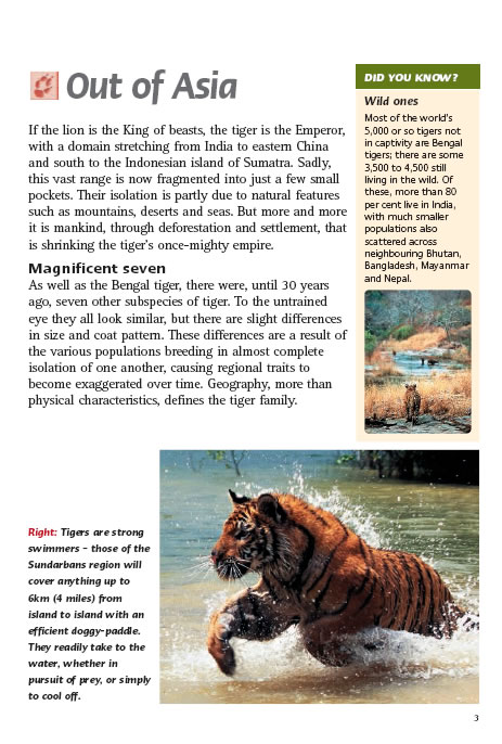 Tigers in Asia