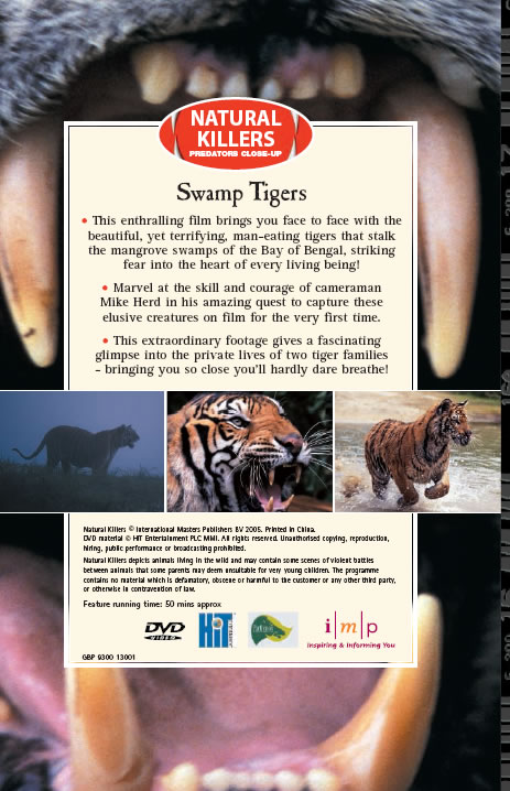 backside bengal tigers