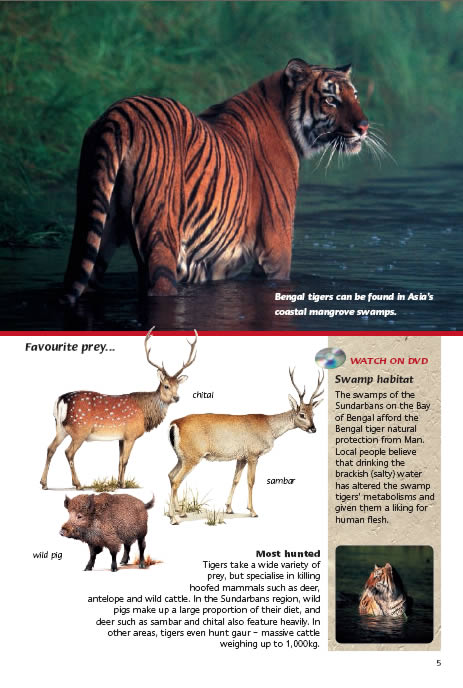 Bengal tiger habitat