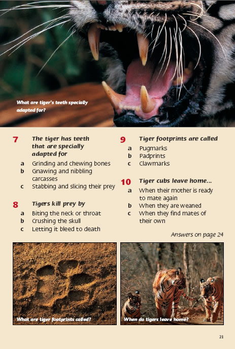 Tiger knowledge cubs footprints